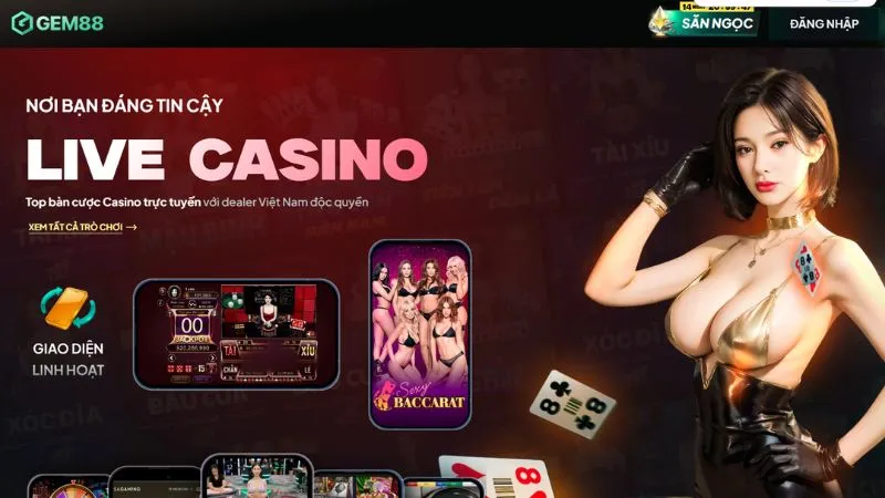 Live Casino Live Casino