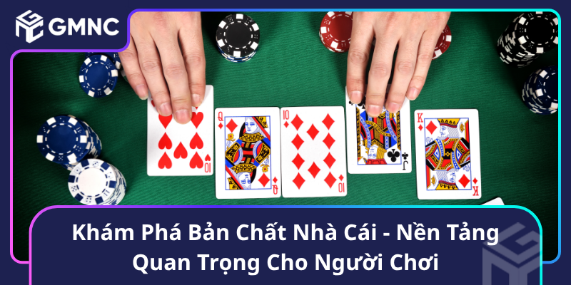 Khám Phá Bản Chất Nhà Cái - Nền Tảng Quan Trọng Cho Người Chơi Khám Phá Bản Chất Nhà Cái - Nền Tảng Quan Trọng Cho Người Chơi